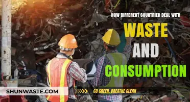 Global Waste Strategies: How Nations Tackle Consumption and Disposal