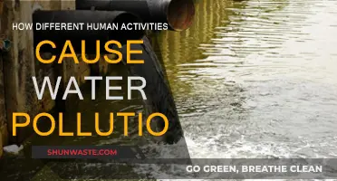 Unveiling the Hidden Sources: Human Activities and Water Pollution