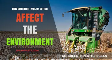 Cotton's Environmental Impact: Varieties, Sustainability, and Eco-Friendly Choices