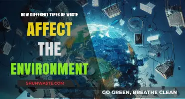 Environmental Impact: How Various Waste Types Harm Our Planet