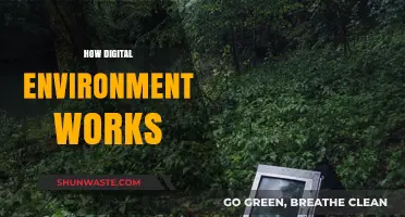 Understanding the Digital Environment: How It Works and Impacts Our Lives