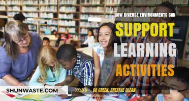 Diverse Environments: Enhancing Learning Through Varied and Rich Contexts