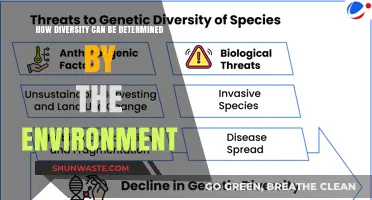 Environmental Factors Shaping Diversity: Understanding Nature's Role in Ecosystem Variation