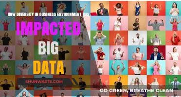 Diversity's Role in Shaping Big Data Strategies and Business Outcomes