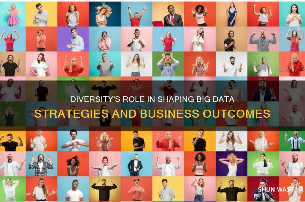 how diversity in business environment has impacted big data