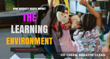 Diversity Challenges: Shaping Inclusive Learning Environments for All Students
