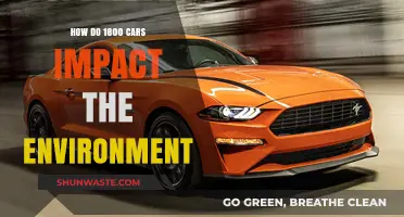 Environmental Impact of 1800 Cars: Pollution, Emissions, and Sustainability Challenges