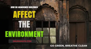 Environmental Impact of Abandoned Buildings: Decay, Pollution, and Urban Challenges
