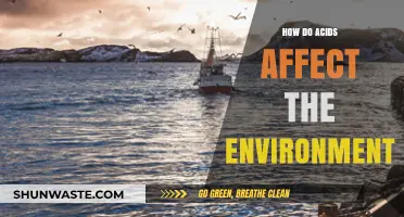 Environmental Impact of Acids: Understanding Their Harmful Effects