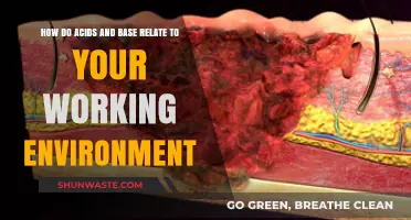 Acids and Bases: Essential Insights for a Safer Workplace Environment