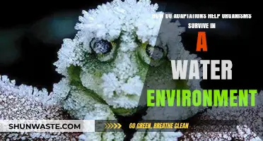 Aquatic Adaptations: Survival Strategies in Water Environments Explained