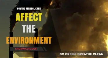 Aerosol Cans' Environmental Impact: Pollution, Ozone Depletion, and Sustainability Challenges