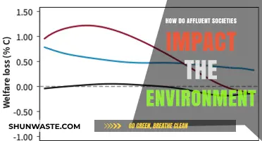 Affluent Societies' Environmental Footprint: Consequences of Wealth and Consumption