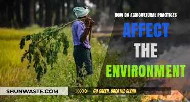 Agricultural Practices and Their Environmental Impact: A Comprehensive Overview