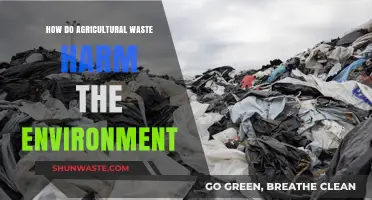 Agricultural Waste's Environmental Impact: Pollution, Degradation, and Ecosystem Threats