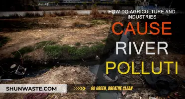 Agricultural Runoff and Industrial Waste: A Recipe for River Disaster