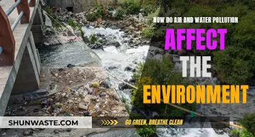 Unveiling the Environmental Impact: Air and Water Pollution's Devastating Effects