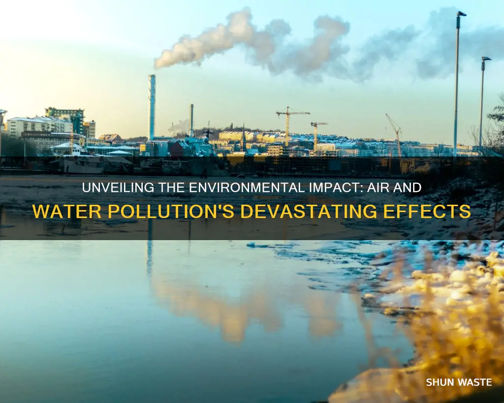 how do air and water pollution affect the environment