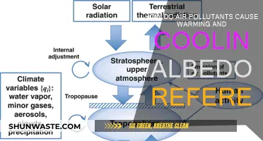 Air Pollutants: Warming and Cooling Albedo Effects Explained