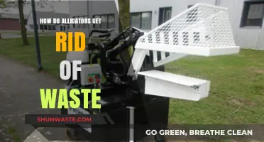 Alligator Waste Disposal: Unveiling Their Unique Elimination Process