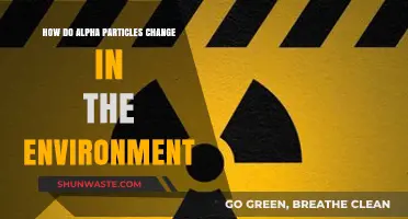 Alpha Particles' Environmental Transformation: Processes, Impacts, and Detection Methods
