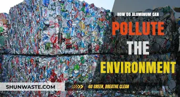 Aluminum Can Pollution: A Hidden Environmental Threat