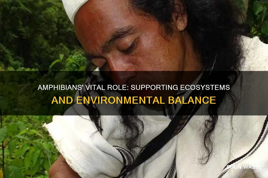 how do amphibians help the environment