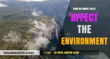 Angel Falls' Environmental Impact: Nature's Wonder and Its Ecological Effects