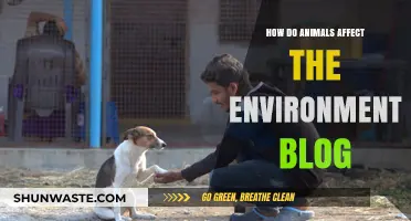 Animals' Impact: Shaping Ecosystems and Environmental Balance Explained