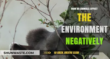 Animals' Negative Environmental Impact: Understanding Their Role in Ecosystem Disruption