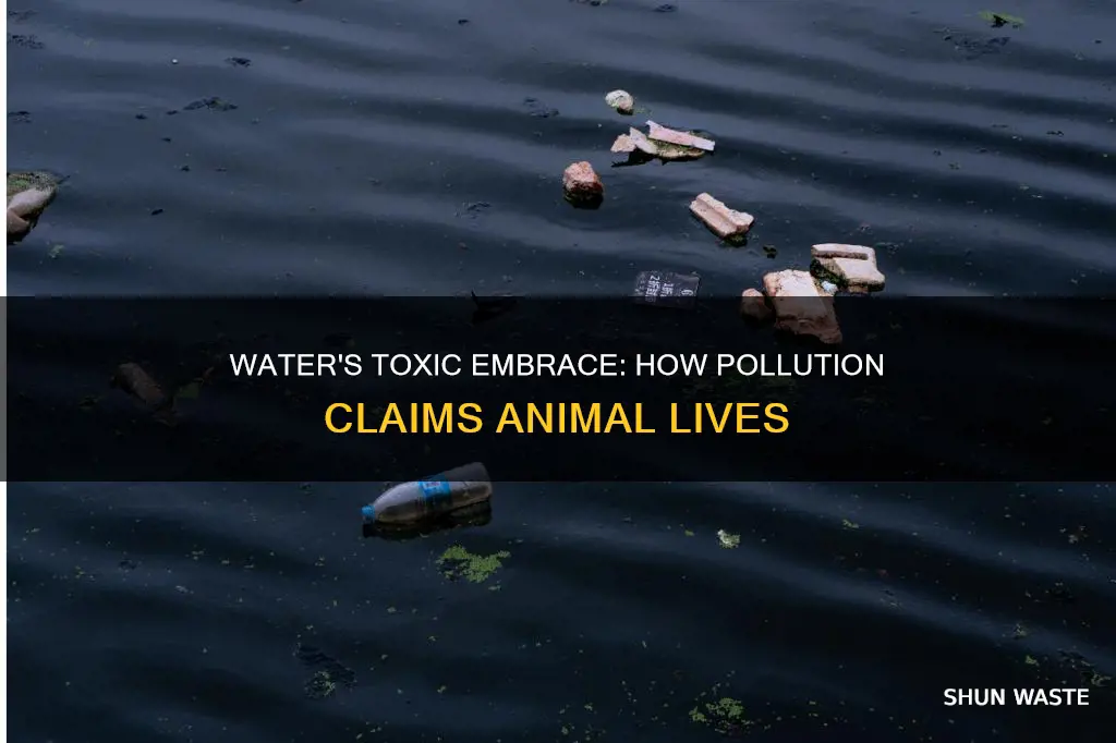 how do animals die from water pollution