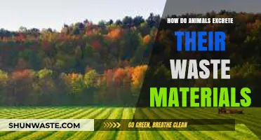 Animal Waste Disposal: Understanding How Creatures Eliminate Toxins Naturally