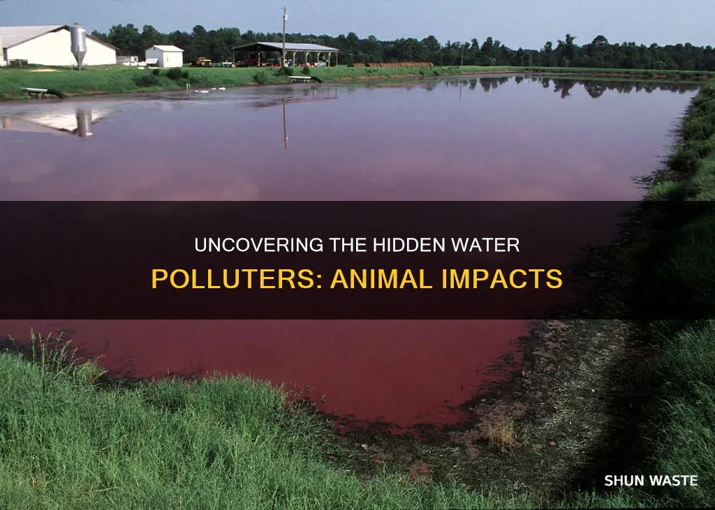 how do animals pollute water