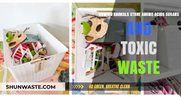 Animal Survival Secrets: Storing Amino Acids, Sugars, and Toxic Waste