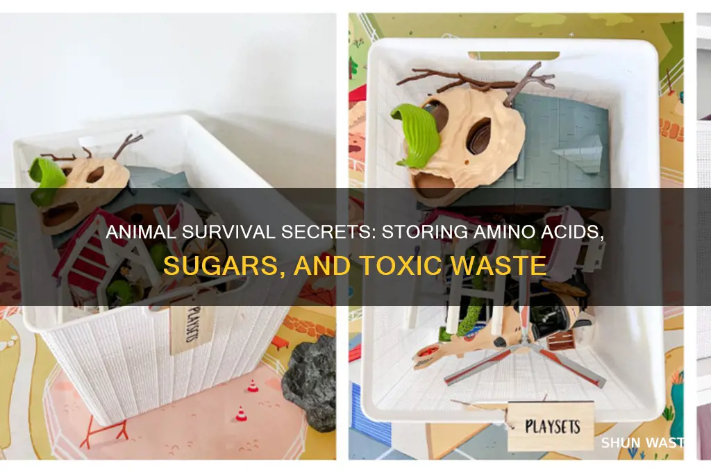 how do animals store amino acids sugars and toxic waste