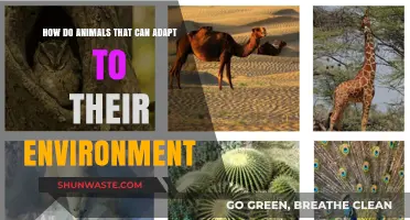 Adapt and Thrive: How Animals Master Environmental Survival Skills