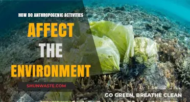Human Impact: How Anthropogenic Activities Shape Our Environment