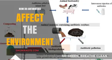 Antibiotics' Environmental Impact: Unseen Consequences on Ecosystems and Wildlife