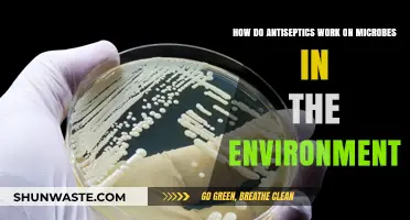 Unveiling Antiseptic Power: How They Combat Environmental Microbes Effectively