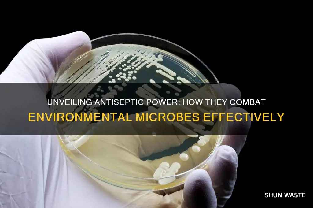 how do antiseptics work on microbes in the environment
