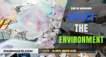 Aquariums' Environmental Impact: Conservation or Ecological Footprint?
