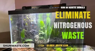 Aquatic Animals' Nitrogen Waste Elimination: Strategies and Adaptations Explained