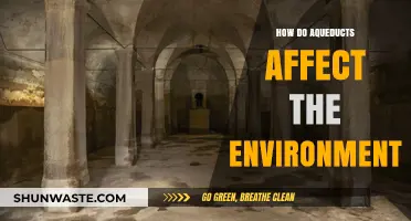 Aqueducts' Environmental Impact: Balancing Water Supply and Ecosystem Health