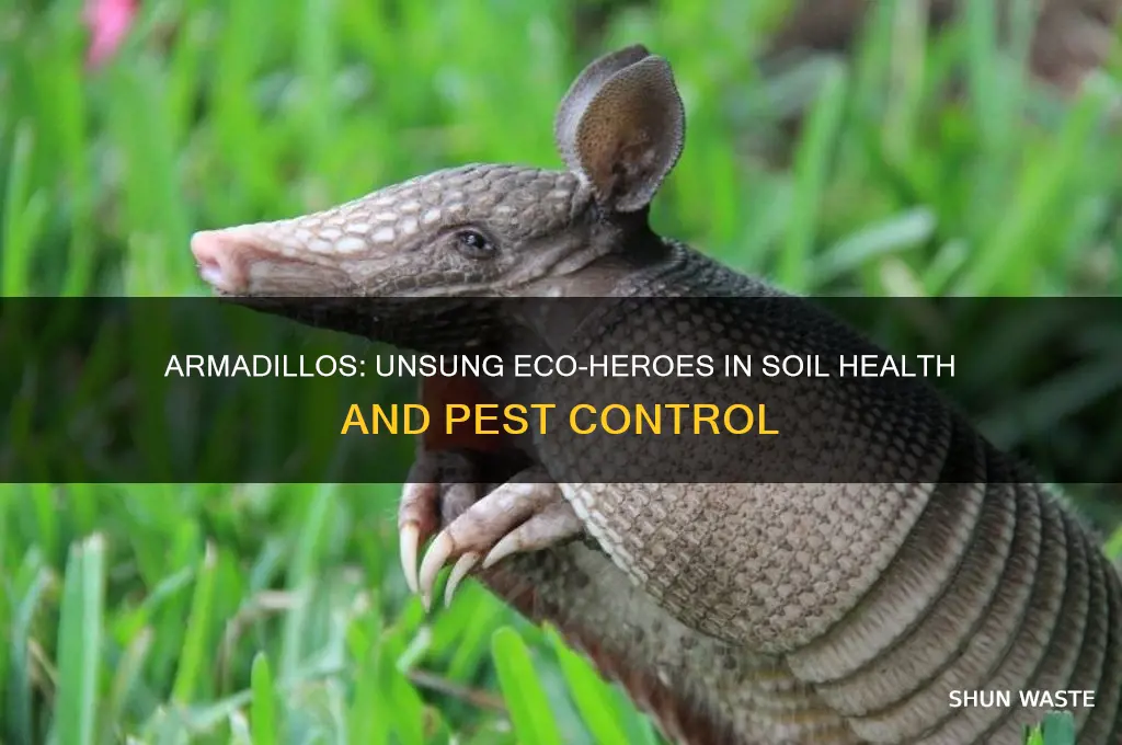 how do armadillos help the environment