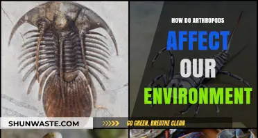 Arthropods' Environmental Impact: Shaping Ecosystems and Human Life