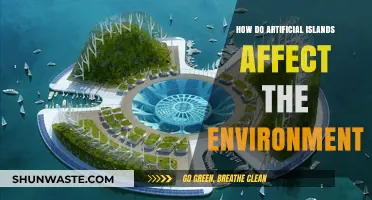 Artificial Islands: Environmental Impacts and Ecosystem Disruption Explored