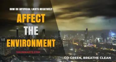 Artificial Lights' Environmental Impact: Pollution, Wildlife Disruption, and Energy Waste