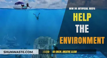 Artificial Reefs: Boosting Marine Ecosystems and Environmental Restoration