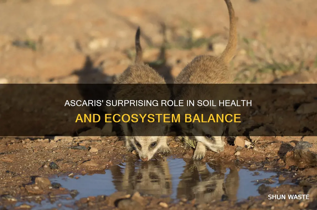 how do ascaris help the environment
