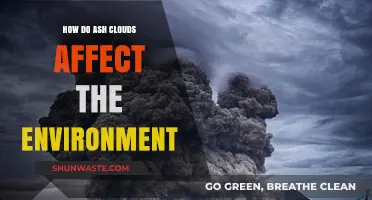 Ash Clouds' Environmental Impact: Effects on Climate, Wildlife, and Ecosystems